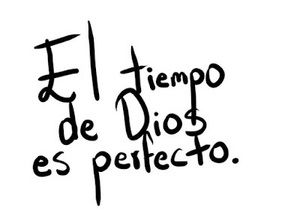 Meet your Posher, Mitsy